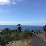 In Protected Space In Front Of The Sea 로스 레알레호스