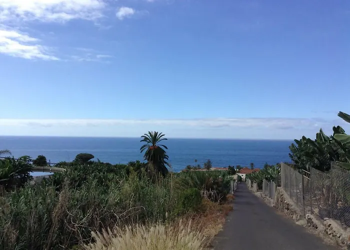 In Protected Space In Front Of The Sea Los Realejos