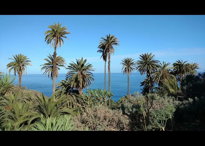 In Protected Space In Front Of The Sea Los Realejos