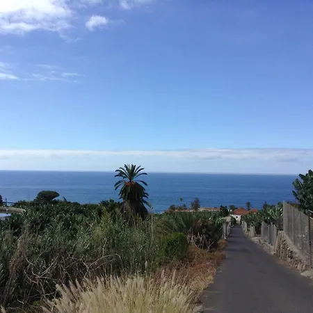 In Protected Space In Front Of The Sea Los Realejos
