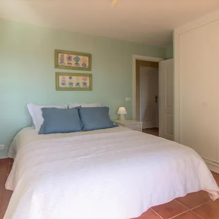 In Protected Space In Front Of The Sea * Los Realejos