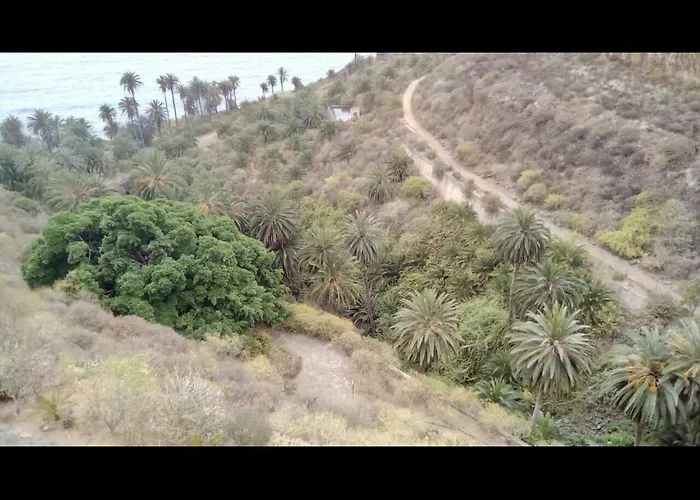 In Protected Space In Front Of The Sea Willa Los Realejos